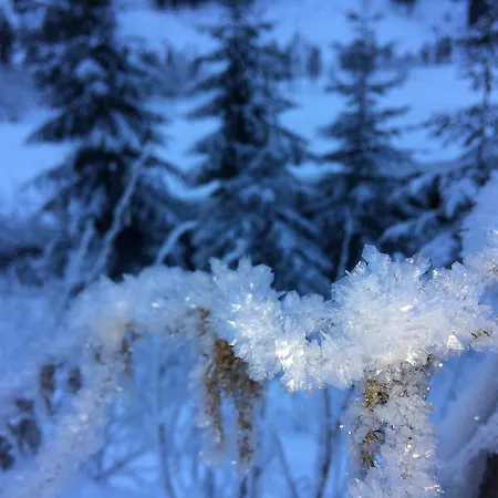 בית נופש Muellnerhof