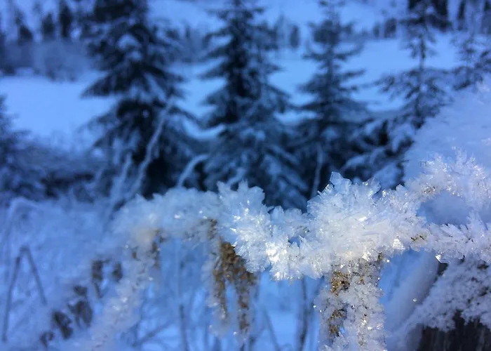 Nyaraló Muellnerhof